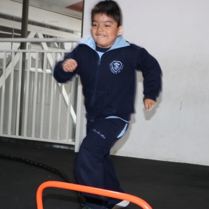 Día de la Actividad Física